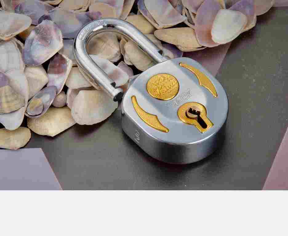 12 levers Padlock Brass finish (67mm)